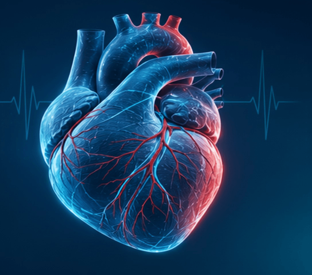 3D Heart Illustration