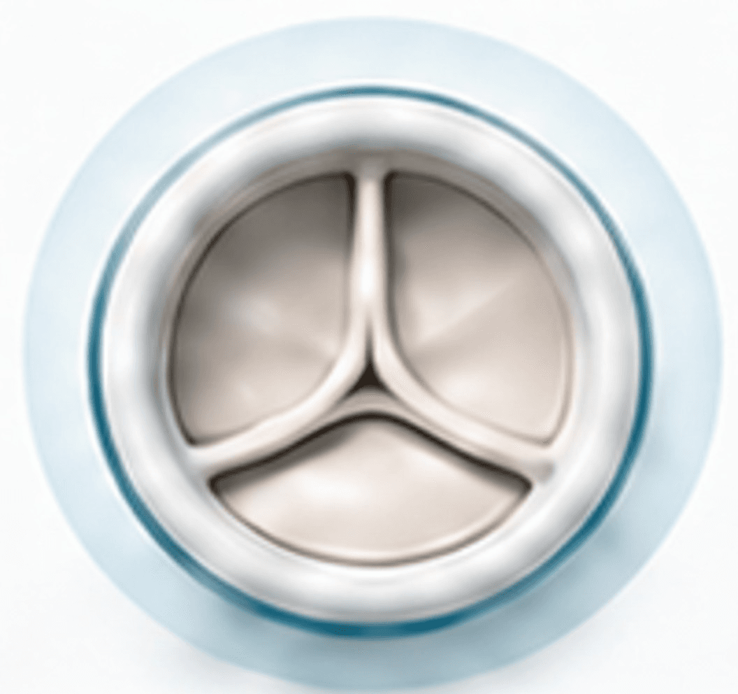 Valve Replacement & Repair